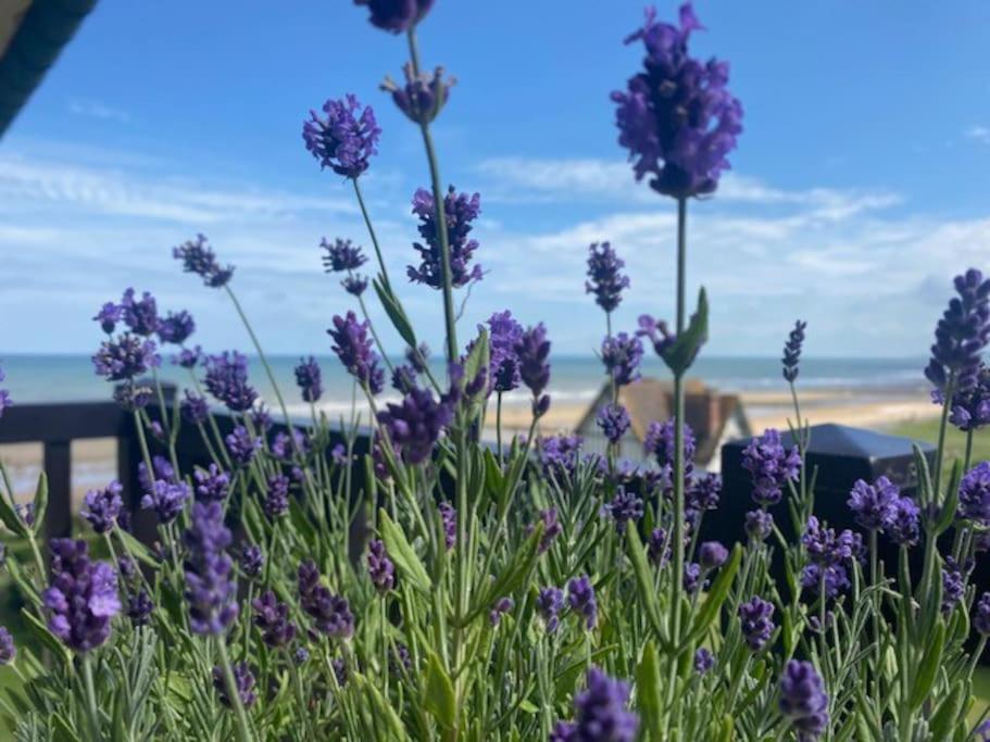 Sur La Plage / Enjoy The Beach Lägenhet Cabourg Exteriör bild